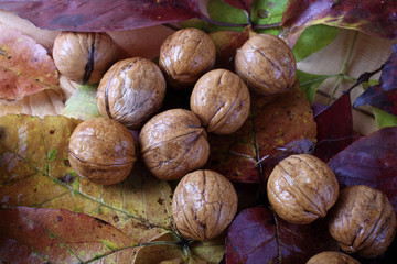 Walnuts on table