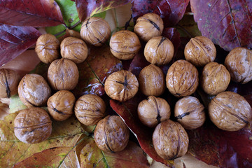 Walnuts on table