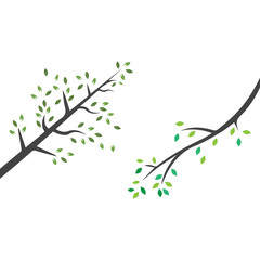 Vector branch , Hand drawn illustration of tree branch design template
