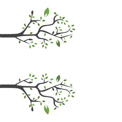 Vector branch , Hand drawn illustration of tree branch design template