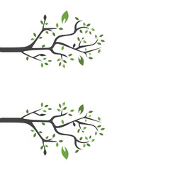 Vector branch , Hand drawn illustration of tree branch design template