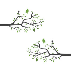 Vector branch , Hand drawn illustration of tree branch design template