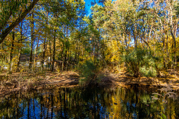Obraz premium Idyllic small lake sourrounded by trees