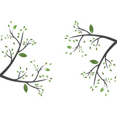 Vector branch , Hand drawn illustration of tree branch design template