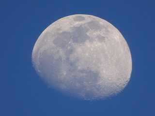 luna