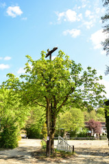 road in park, Germany