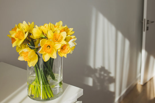 Yellow daffodils in a glass vase standing in a sunny room.