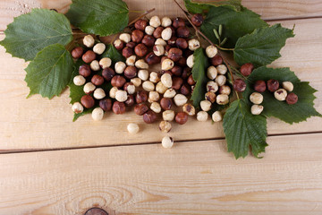 Hazelnuts on table
