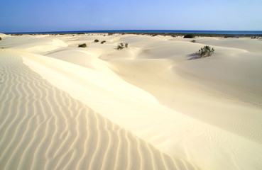 Zahaq sand dune in Socotra island, Yamen.