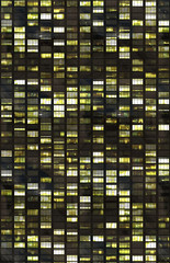 building city skycraper windows front view