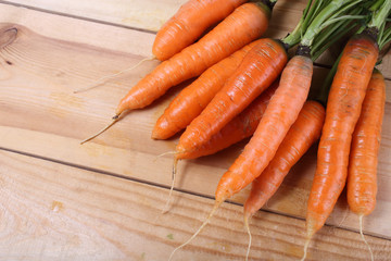 Carrots harvest