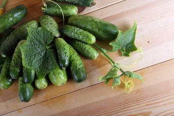 Cucumbers on table