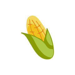 Flat colored vegetable corn icon isolated on white background. Concept for farmers market, organic food, grocery store, cafe, restaurant.  Natural product, vegetarian, fresh, natural design