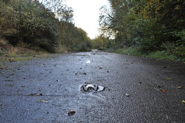 Close up of cats eyes on an abandoned tarmac road.