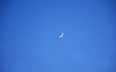 Obraz na płótnie Canvas moon on the blue sky young moon in the evening against the blue sky