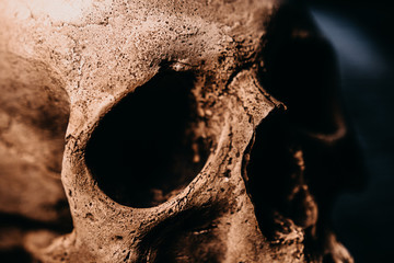 Skull of the human on a black background