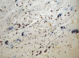 macro curd casserole yellow sprinkled with flax seeds and Chia in raw form in front of the oven in...