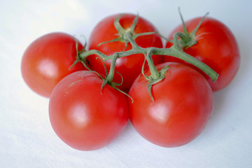 Tomate en grappe sur fond neutre