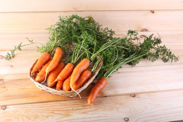 Carrots harvest