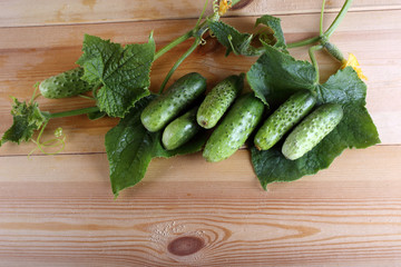 Cucumbers on table