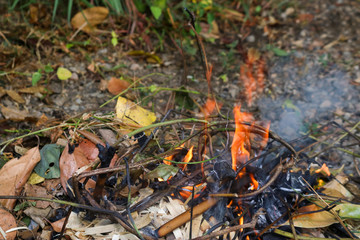 fire in the grass