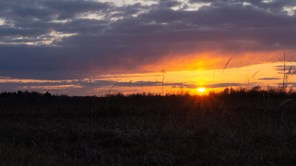 rays of the setting spring sun on the field.