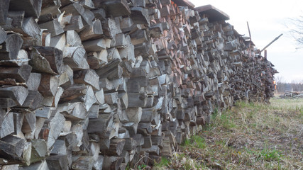 the pile of firewood. birch, pine, oak