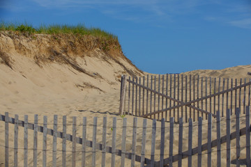 Beach Cape Cod