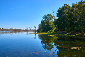 The path towards to Neak Pean temple on the artificial island at Angkor Wat complex, Angkor Wat Archaeological Park in Siem Reap, Cambodia UNESCO World Heritage Site