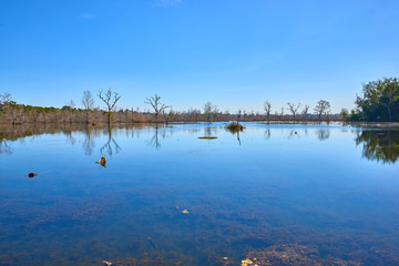 The path towards to Neak Pean temple on the artificial island at Angkor Wat complex, Angkor Wat Archaeological Park in Siem Reap, Cambodia UNESCO World Heritage Site