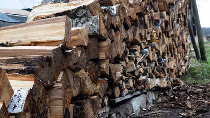 split birch logs. fresh wood on the green grass