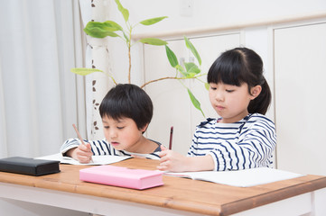 家庭学習をする小学生の男の子と女の子