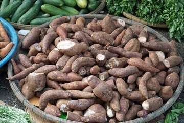 colorful food market in hue