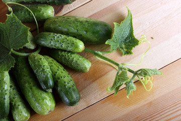 Cucumbers on table