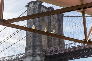 Fototapeta premium Brooklyn Bridge from a different perspective, side view of one of the arches through an iron structure