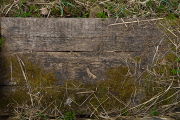 old abandoned overgrown wooden step of the threshold