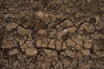 dried cracked tracks on the ground from wheels in the mud on an abandoned road