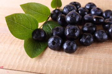 Blueberry harvest