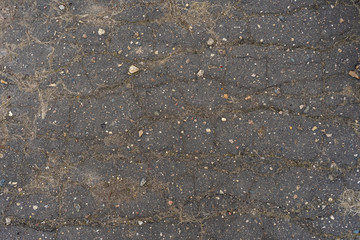 old asphalt of an abandoned road