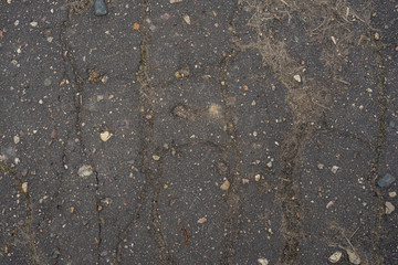 old asphalt of an abandoned road