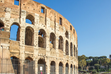 Fototapeta premium The Colosseum (in italian Colosseo Roma) Rome Italy