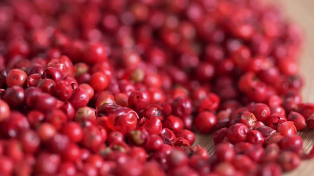 Food spices pink peppercorns red pepper Himalayan pepper berries. concept of fresh and dietary spices for cooking schools vegans and dietary products