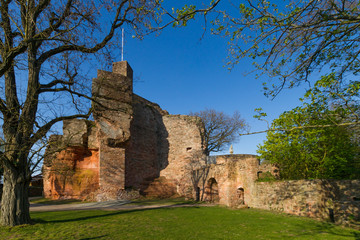 Fototapete bei efototapeten.de bestellen   