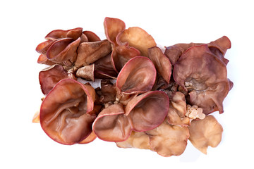 Jew's Ear Mushroom isolated on white background