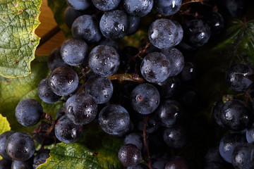 Black wine grape on table