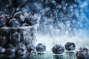 Fototapeta na wymiar Big blueberries in a plastic box closeup under the water drops in a dark blue background. Healthy lifestyle. Summer diet. Set of fruits under the water. Falling garden blueberry
