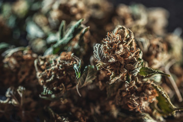 Medical marijuana products, dried bud, cbd marihuana