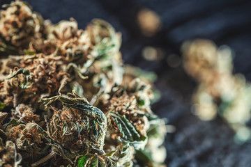 Medical marijuana products, dried bud, cbd marihuana