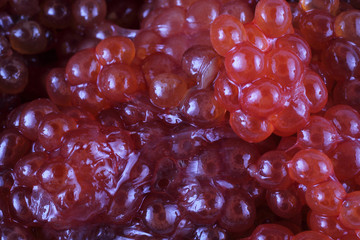 Red caviar background