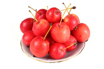 Red crabapples
